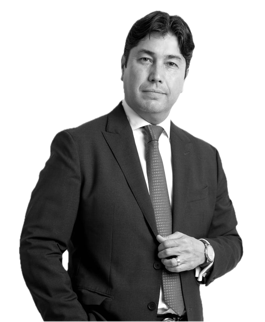 Carlos Zertuche - Firma Jurídica